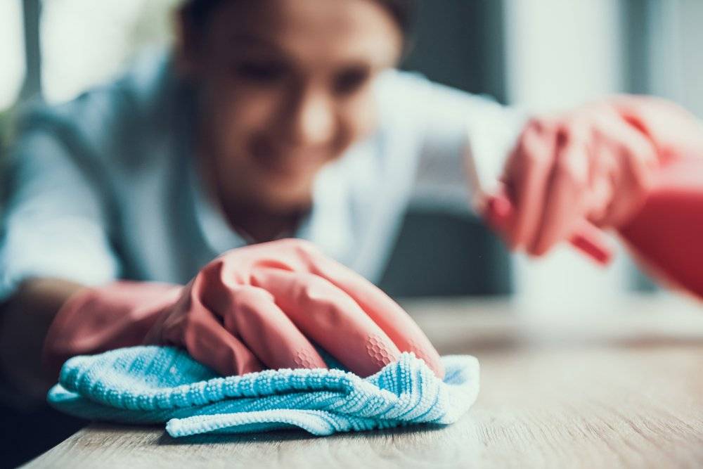 Young Smiling Woman in Gloves Cleaning House